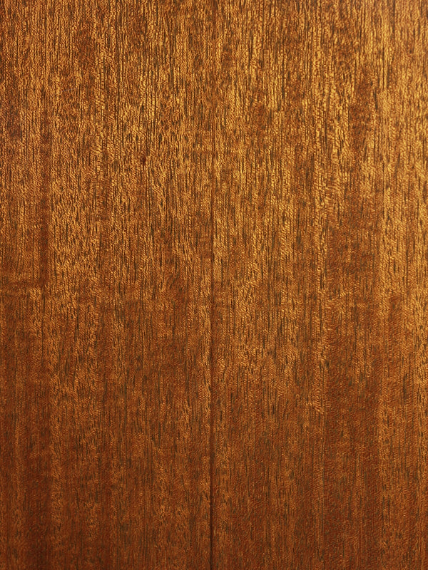 Pre-Owned Collings D1A Varnish Finish Mahogany / Adirondack Dreadnought