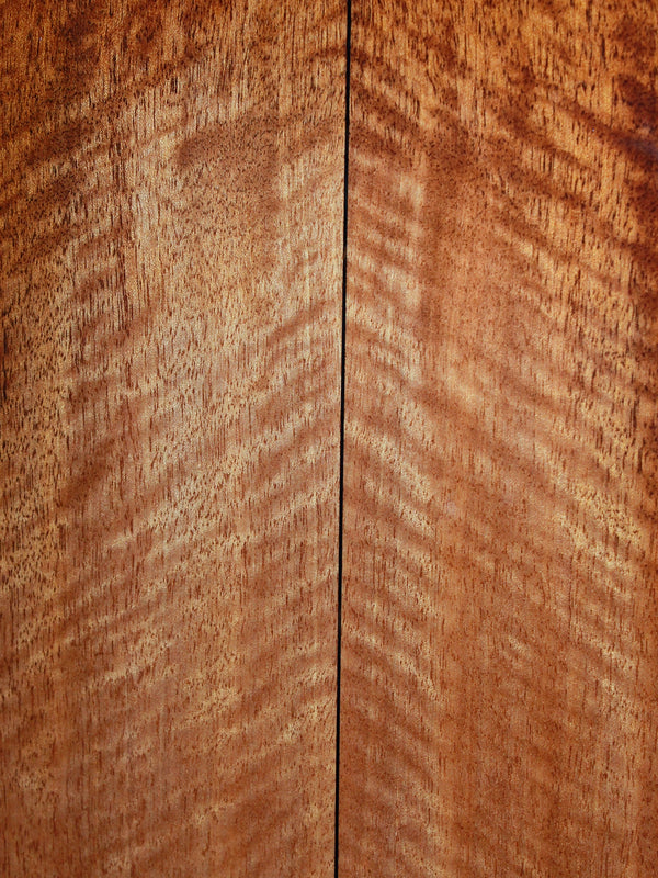 Eastman E10 00-TC Solid Mahogany / Thermo-Cured Adirondack Acoustic Guitar