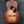 Load image into Gallery viewer, Eastman Guitars E1P Classic Parlor Size 12-Fret Solid Wood Acoustic