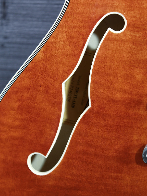 Eastman T59/TV-AMB Amber Truetone Varnish Semi-Hollowbody Maple Electric Guitar