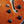 Load image into Gallery viewer, Eastman T59/TV-AMB Amber Truetone Varnish Semi-Hollowbody Maple Electric Guitar
