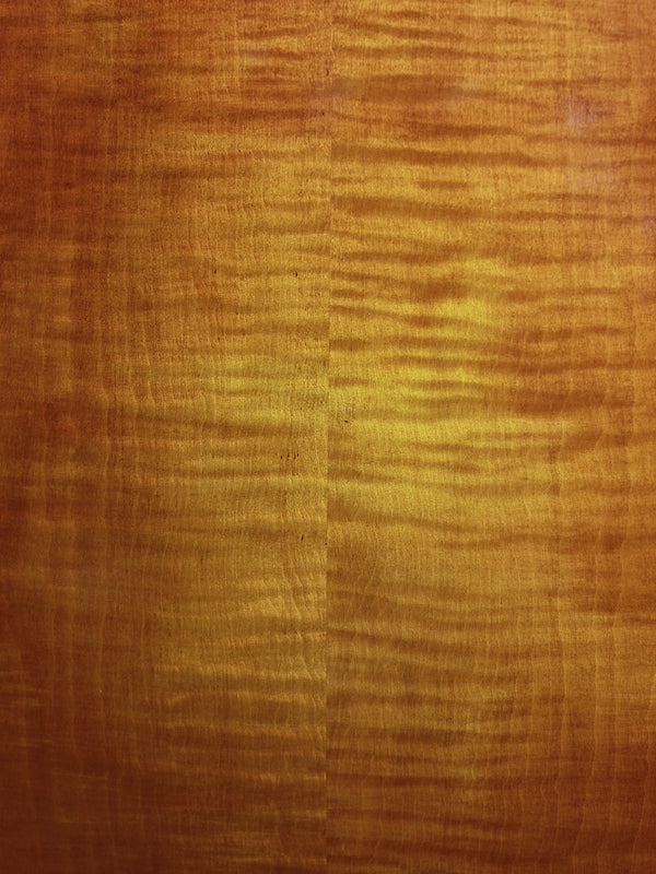 Eastman T59/TV-AMB Amber Truetone Varnish Semi-Hollowbody Maple Electric Guitar