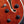 Load image into Gallery viewer, Eastman T59/TV Truetone Classic Vintage Gloss Thinline Semi-Hollowbody Electric Guitar