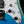 Load image into Gallery viewer, Flight / Jet Pathfinder Tenor TBL Solidbody Electric Ukulele w/ Soft Case