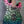 Load image into Gallery viewer, Jet JS-50 Elite Art Electric Guitar w/ Deluxe Soft Case New Model