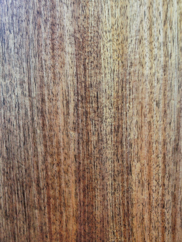 Pre-Owned Martin SC-10E Koa Road Series Good Condition