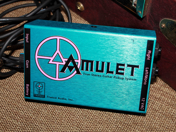 Pre-Owned Martin CEO 4 Slope Shoulder Dreadnought c.2002 w/ Amulet Stereo Pickup