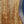 Load image into Gallery viewer, Martin Guitars D18 1933 Ambertone Mahogany Standard Series Dreadnought Acoustic Guitar