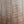 Load image into Gallery viewer, Taylor Guitars 124ce Special Edition Walnut Grand Auditorium w/ Electronics