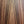 Load image into Gallery viewer, Taylor 210ce Rosewood Dreadnought - ES2 Electronics