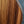 Load image into Gallery viewer, Taylor 212ce Plus - Rosewood Grand Concert Acoustic-Electric Guitar - Natural