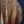 Load image into Gallery viewer, Taylor Custom 224ce K-DLX - Koa Deluxe Natural Matte Finish Acoustic-Electric Guitar