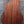 Load image into Gallery viewer, Taylor Custom Grand Concert 12-Fret Charcoal Black Torrified Spruce Top