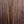 Load image into Gallery viewer, Taylor Custom Grand Concert 12-Fret Charcoal Black Torrified Spruce Top