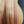 Load image into Gallery viewer, Taylor GS Mini-e Koa Bass - Acoustic / Electric Bass