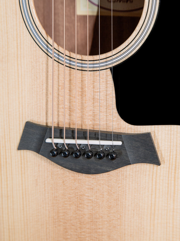 Taylor GS Mini-e Rosewood Plus Guitar w/ ES2 Electronics w/ Deluxe Aero Case