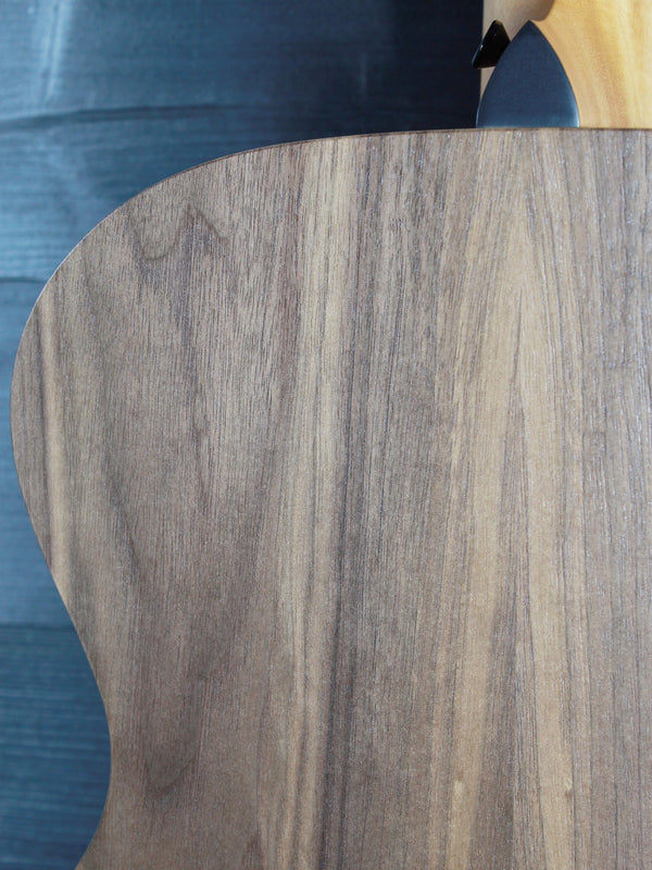 Taylor Academy 22e Walnut w/ Travel Bag Demo Acoustic-Electric Guitar