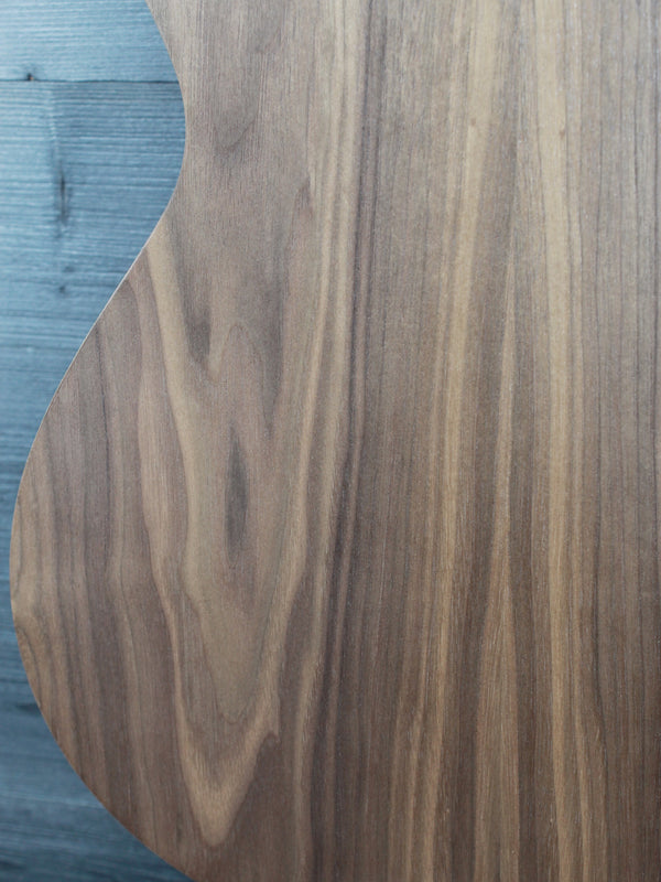 Taylor Academy 22e Walnut w/ Travel Bag Demo Acoustic-Electric Guitar