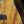Load image into Gallery viewer, Taylor Custom Grand Auditorium Hand-Selected Premium Grade Koa Acoustic-Electric Guitar