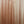Load image into Gallery viewer, Taylor GS Mini-S Sapele / Spruce Acoustic Guitar