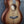 Load image into Gallery viewer, Taylor 2025 NAMM / Catch Custom #10 C12e Grand Concert 12-Fret Sinker Cypress