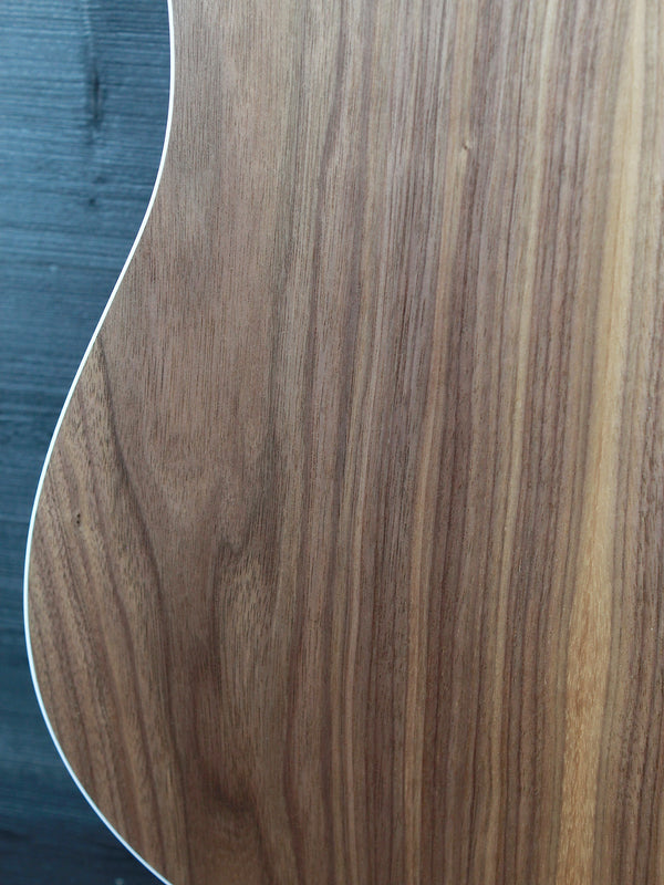 Taylor 210ce Walnut / Spruce Demo Model Dreadnought Guitar - ES2 Electronics