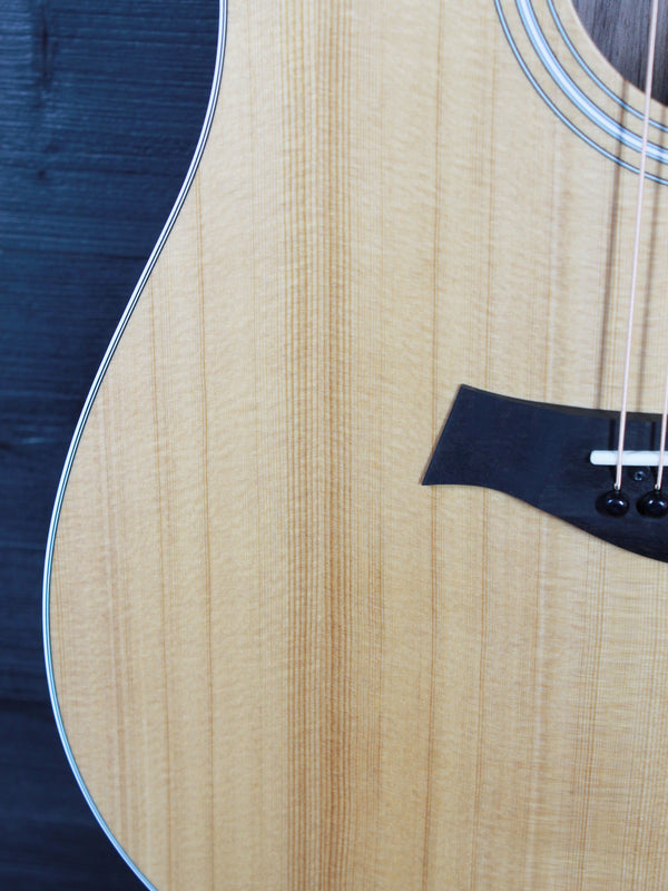 Taylor 210ce Walnut / Spruce Demo Model Dreadnought Guitar - ES2 Electronics