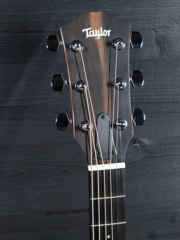 Taylor 210ce Walnut / Spruce Demo Model Dreadnought Guitar - ES2 Electronics