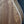 Load image into Gallery viewer, Taylor 212ce Walnut Grand Concert Acoustic-Electric Guitar - Natural Demo Model
