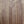 Load image into Gallery viewer, Taylor 212ce Walnut Grand Concert Acoustic-Electric Guitar - Natural Demo Model