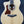 Load image into Gallery viewer, Taylor 214ce-K Left Handed Koa - Demo Model - Grand Auditorium Guitar