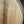 Load image into Gallery viewer, Taylor 214ce-K Left Handed Koa - Demo Model - Grand Auditorium Guitar