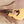 Load image into Gallery viewer, Taylor 214ce Walnut Grand Auditorium ES2 Electronics Acoustic-Electric Guitar
