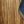 Load image into Gallery viewer, Taylor 254ce Plus 12-String Rosewood Grand Auditorium Acoustic-Electric Guitar