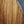 Load image into Gallery viewer, Taylor 254ce Plus 12-String Rosewood Grand Auditorium Acoustic-Electric Guitar