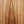 Load image into Gallery viewer, Taylor 254ce Plus 12-String Rosewood Grand Auditorium Acoustic-Electric Guitar