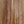 Load image into Gallery viewer, Taylor 254ce Plus Left-Handed 12-String Rosewood Acoustic-Electric Guitar