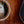Load image into Gallery viewer, Taylor 264ce-K DLX Left-Handed Koa 12-String / Grand Auditorium Acoustic-Electric Guitar
