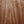 Load image into Gallery viewer, Taylor 314ce Studio Sapele / Torrified Spruce Acoustic-Electric Guitar