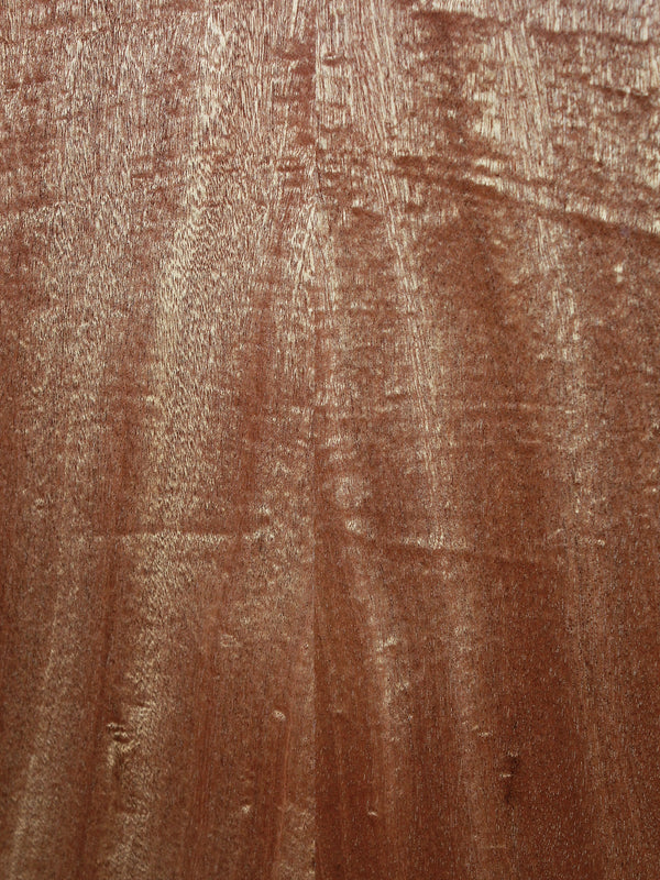 Taylor 314ce Studio Sapele / Torrified Spruce Acoustic-Electric Guitar