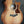 Load image into Gallery viewer, Taylor 314ce Studio SEB Shaded Sapele / Torrified Spruce Guitar - New Model