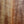 Load image into Gallery viewer, Taylor Academy 12e LTD AA Koa Grand Concert Acoustic-Electric Guitar