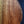 Load image into Gallery viewer, Taylor Academy 12E N LTD AA Koa Nylon String Acoustic-Electric Guitar