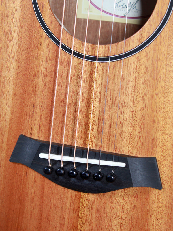 Taylor BT2 Baby Taylor Mahogany Top w/ Travel Bag