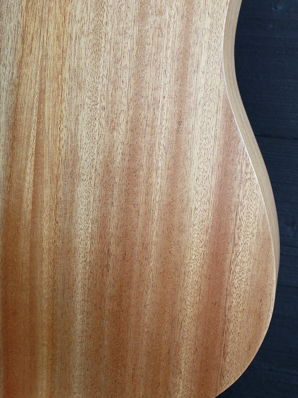 Taylor BT2 Baby Taylor Mahogany Top w/ Travel Bag