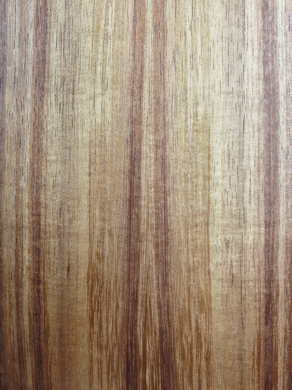 Taylor BTe Koa Baby Taylor Acoustic Guitar w/ ES-B Electronics