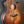 Load image into Gallery viewer, Taylor Builder’s Edition K24ce Koa - V Class Bracing Acoustic-Electric Guitar