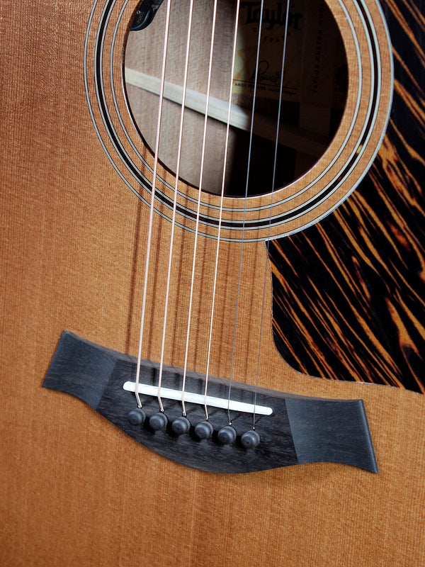 Taylor Custom Select 314ce Torrified Spruce - Wild Honeyburst Acoustic-Electric Guitar