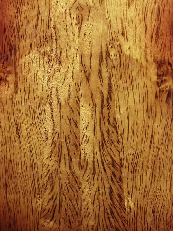 Taylor Custom #36 NAMM 2025 C14ce B5036 The Bengal-Grand Auditorium, Bearclaw Sitka Spruce/Tiger Myrtle