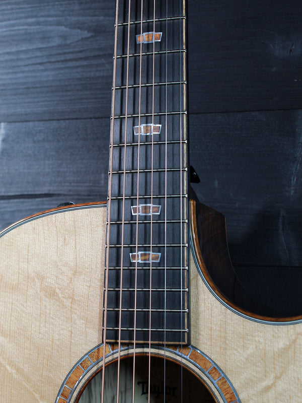 Taylor Custom #36 NAMM 2025 C14ce B5036 The Bengal-Grand Auditorium, Bearclaw Sitka Spruce/Tiger Myrtle